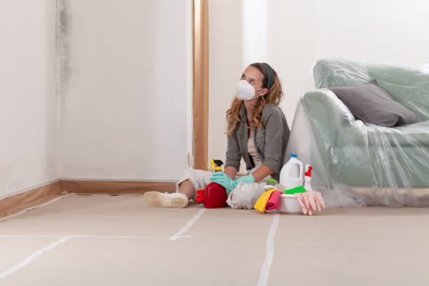 Reliable Commercial Mold Remediation contractor in Ashburn, GA by WQB Mold Removal